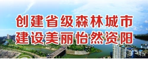 啊插逼影视Av创建省级森林城市 建设美丽怡然资阳